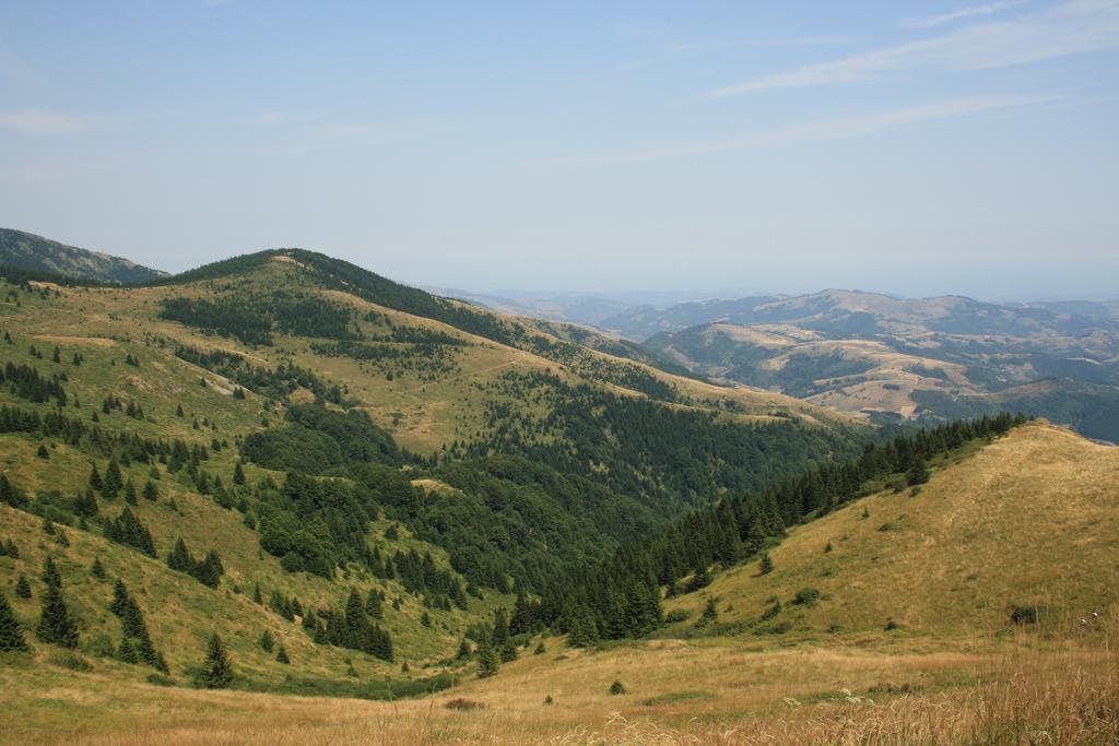 Apartment G6 Kopaonik Buitenkant foto